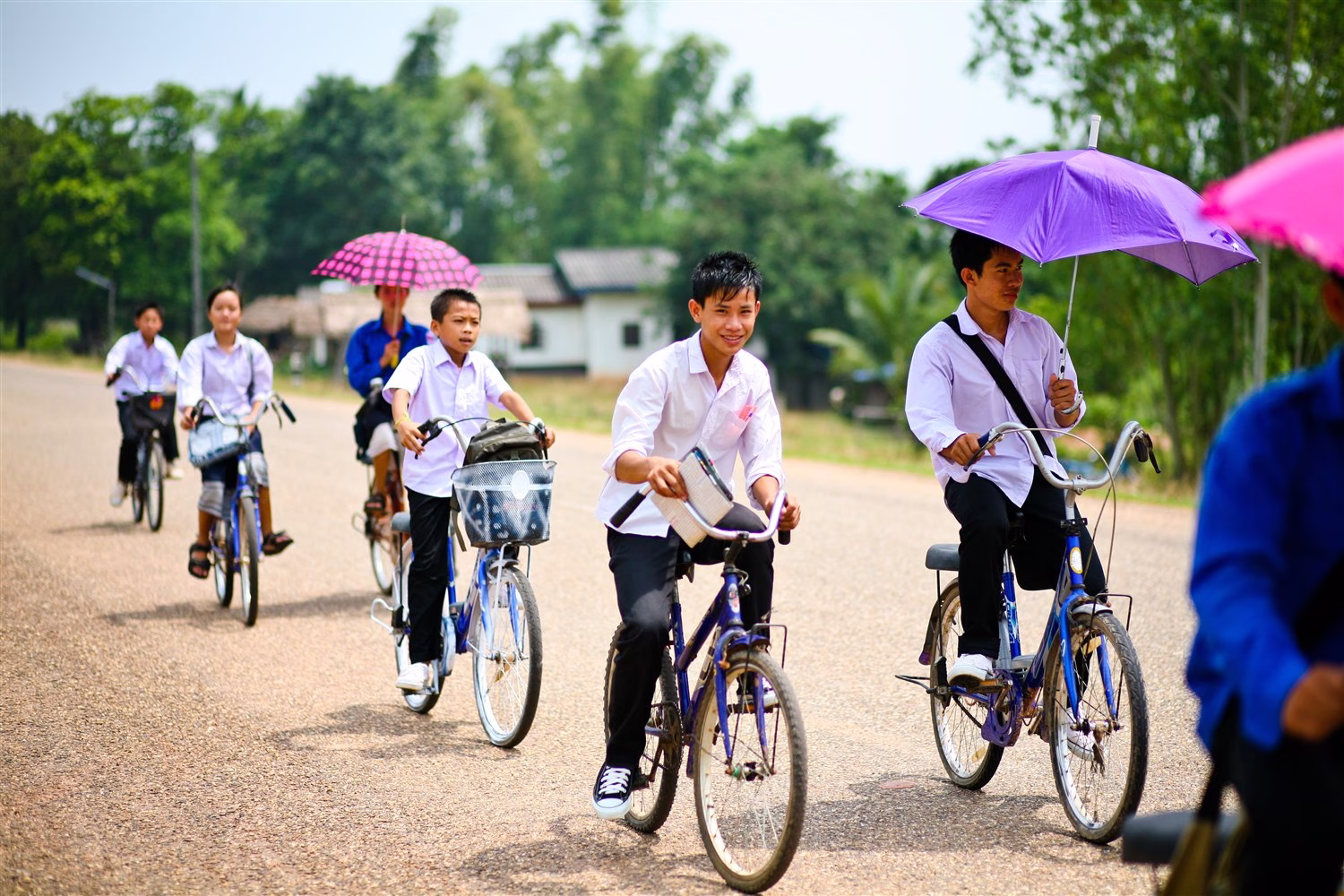 Schoolchildren riding bicycles to school, holding umbrellas
